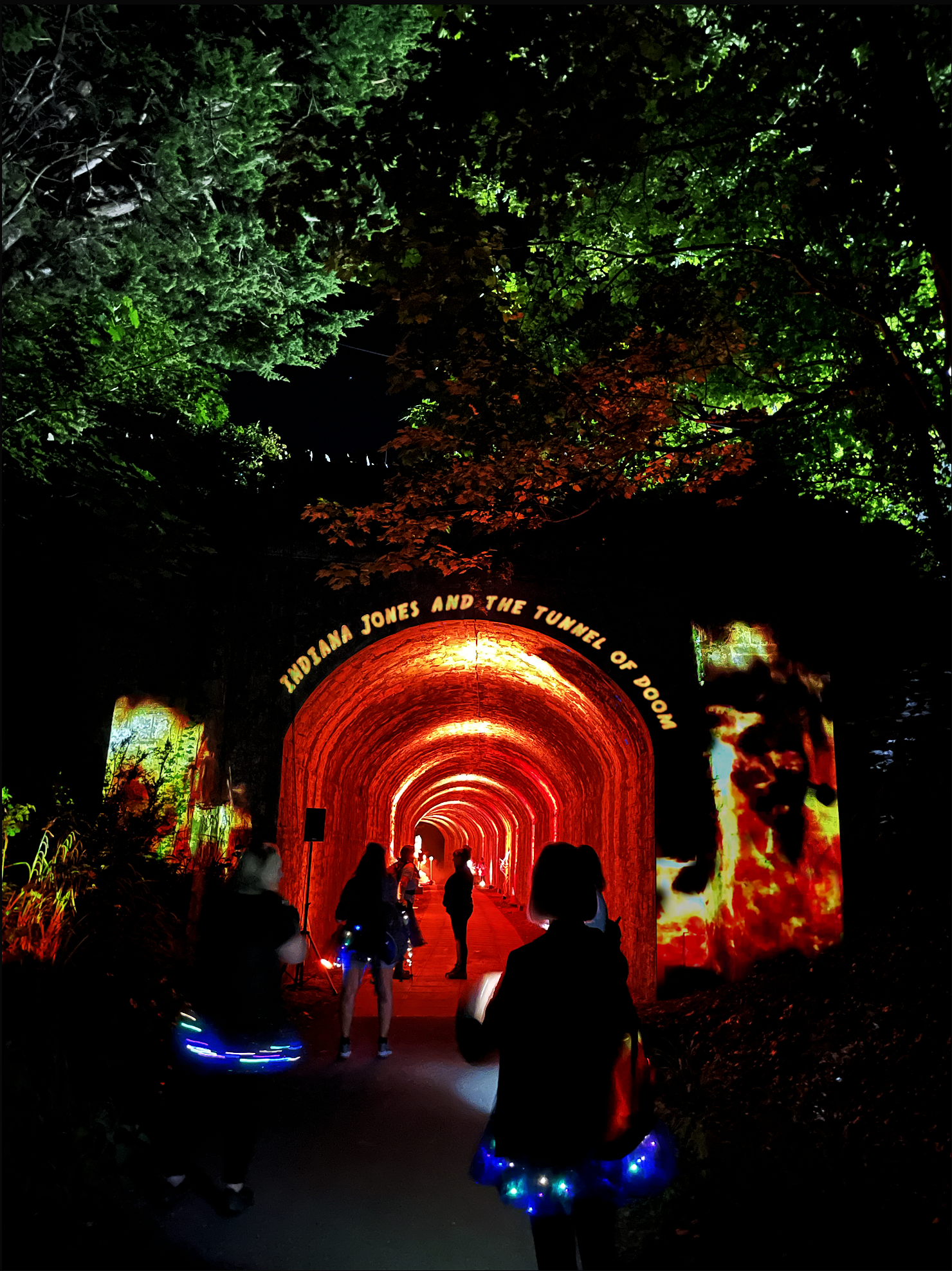Immersive lighting Installations and projections illuminate night walks for Charity Fundraisers