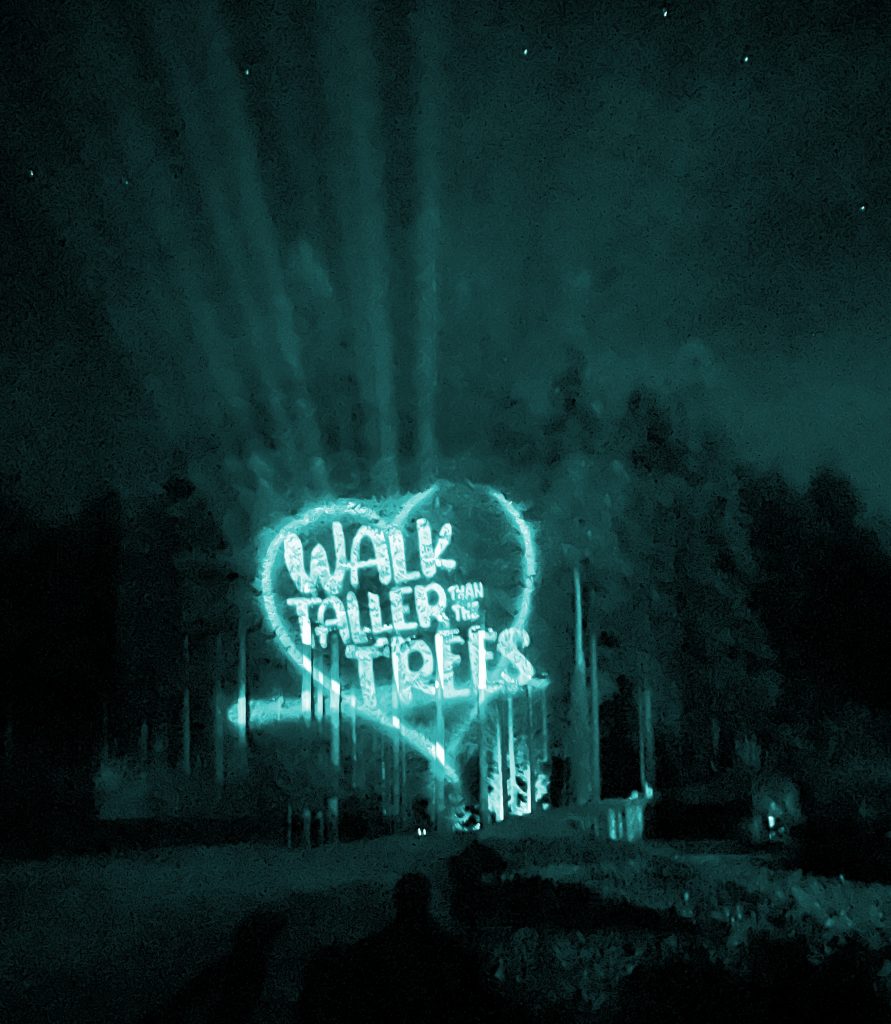 Projections Onto Trees  @RHS Rosemoor for NORTH DEVON Hospice Nightwalk