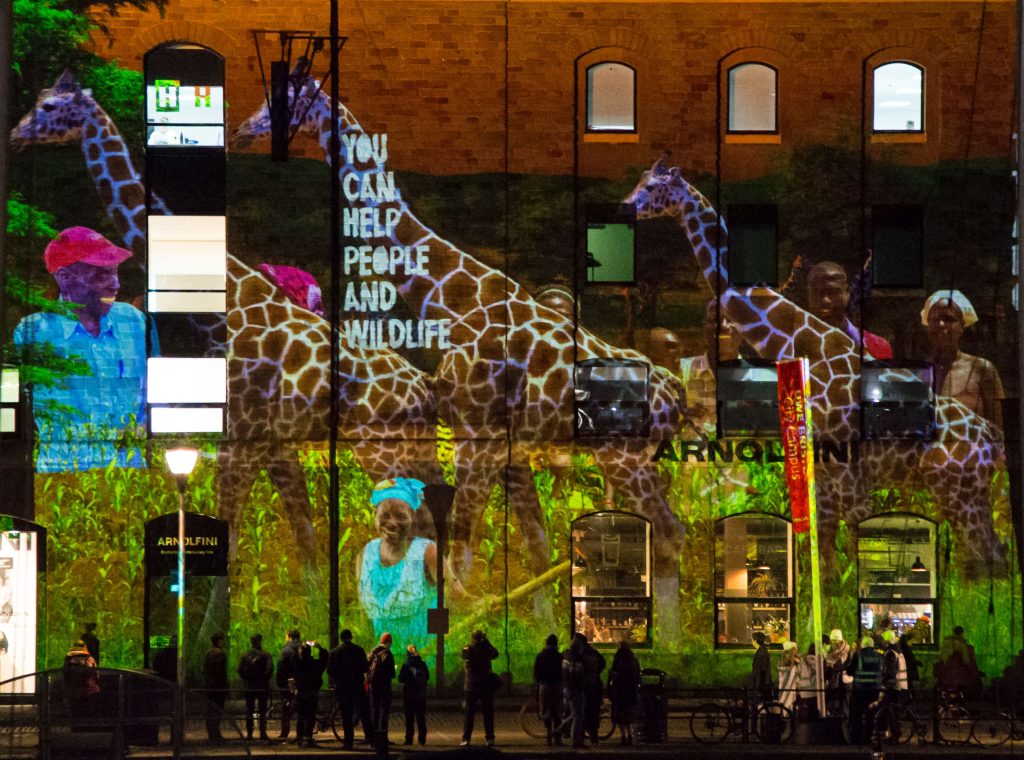 projection mapping giraffes