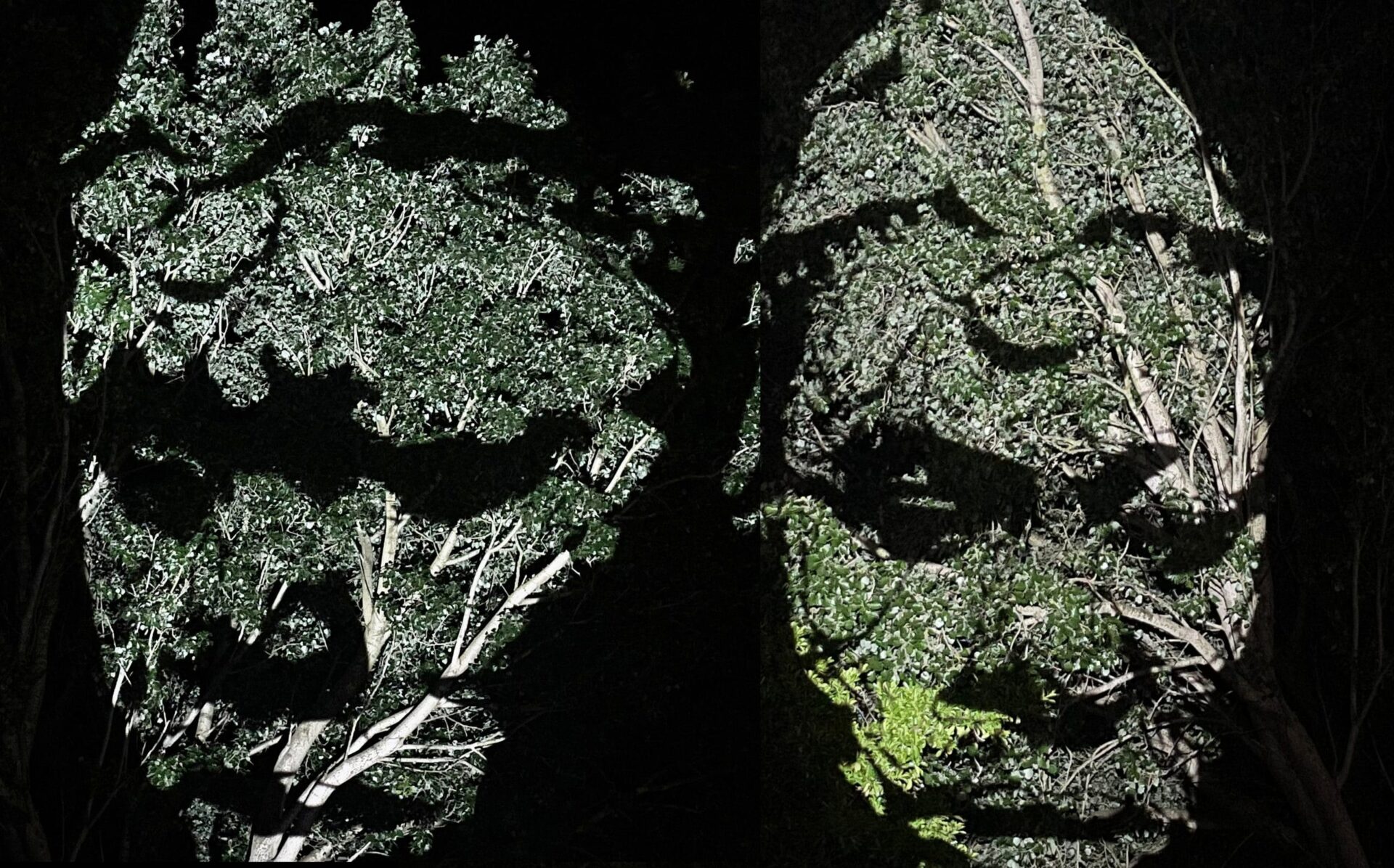 Large scale video projection for artist-led gallery work