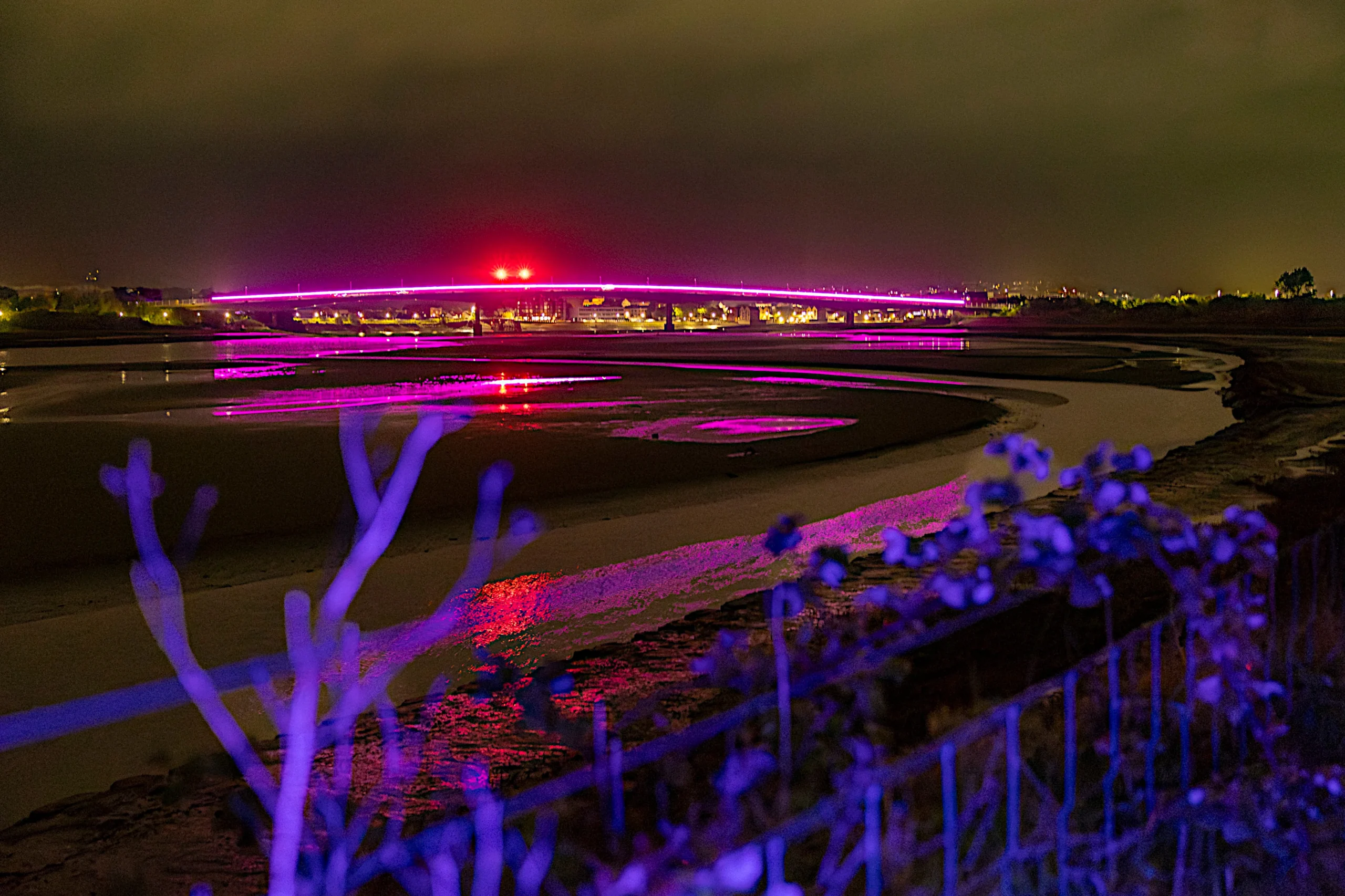 charity fundraisers Charity Night Walks & Fundraisers